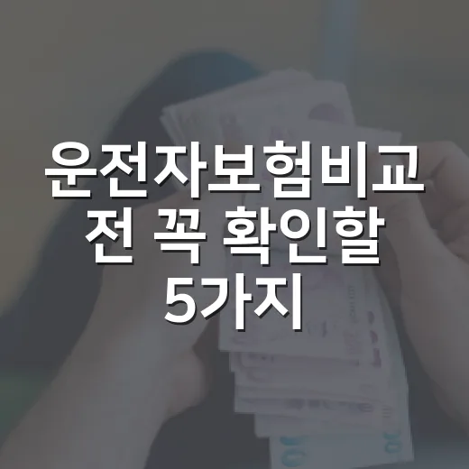 운전자보험비교 전 꼭 확인할 5가지 숫자 - 요약