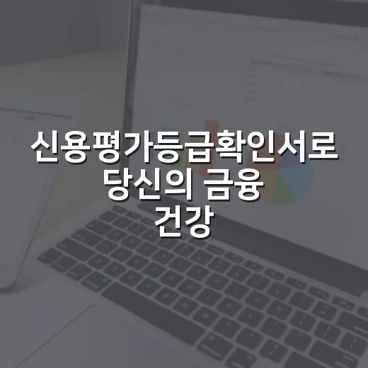 신용평가등급확인서로 당신의 금융 건강 체크하는 4가지 방법 - 요약