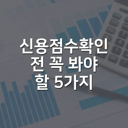 신용점수확인 전 꼭 봐야 할 5가지 숫자 기준 - 요약