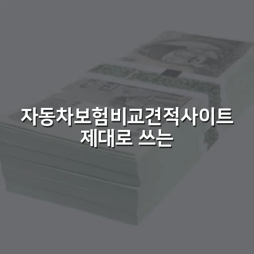 자동차보험비교견적사이트 제대로 쓰는 5가지 기준 - 요약