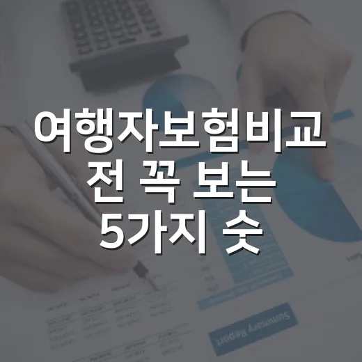 여행자보험비교 전 꼭 보는 5가지 숫자 기준 - 요약