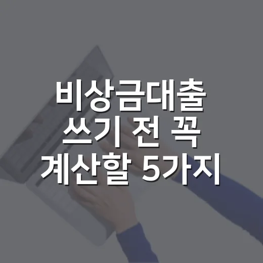 비상금대출 쓰기 전 꼭 계산할 5가지 기준 - 요약