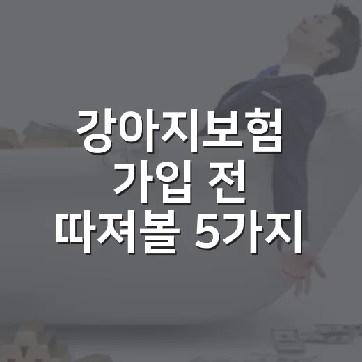 강아지보험 가입 전 따져볼 5가지 숫자 - 요약
