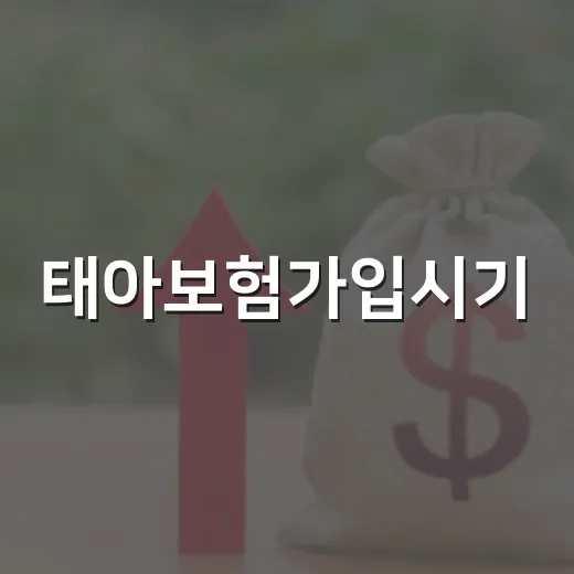 태아보험가입시기, …