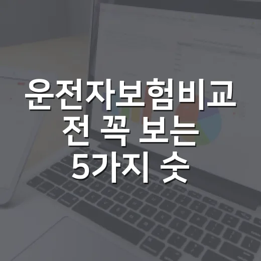 운전자보험비교 전 …