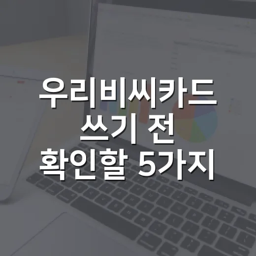우리비씨카드 쓰기 전 확인할 5가지 숫자 기준 - 요약