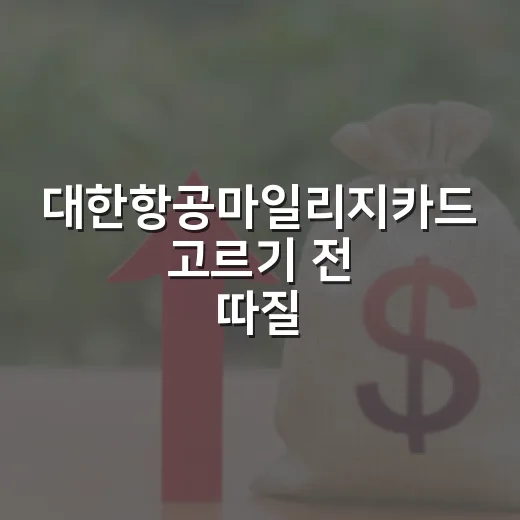 대한항공마일리지카드 고르기 전 따질 5가지 숫자 - 요약