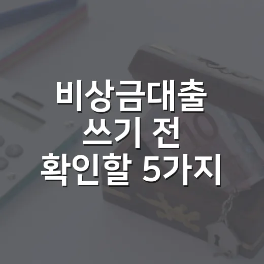 비상금대출 쓰기 전 확인할 5가지 숫자 - 요약