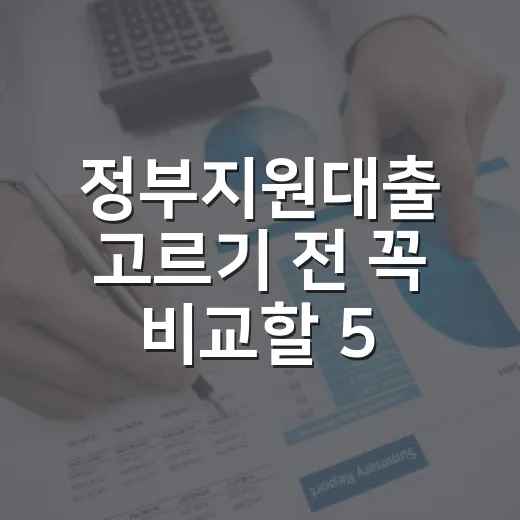 정부지원대출 고르기 전 꼭 비교할 5가지 기준 - 요약