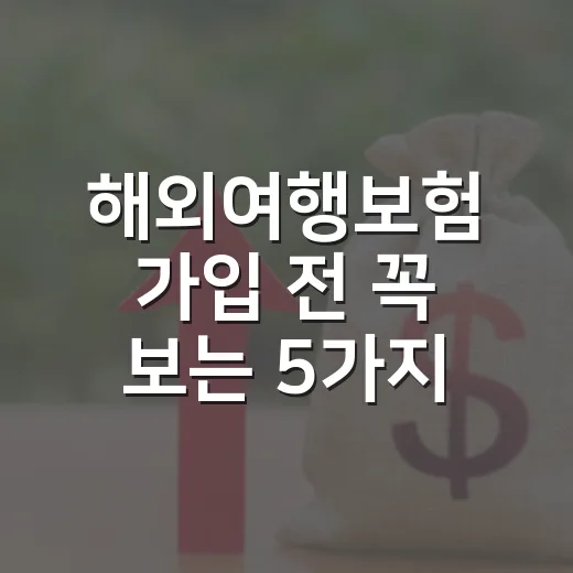 해외여행보험 가입 전 꼭 보는 5가지 숫자 - 요약