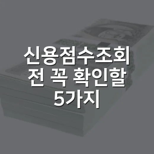 신용점수조회 전 꼭 확인할 5가지: 점수 하락보다 더 중요한 부분 - 요약