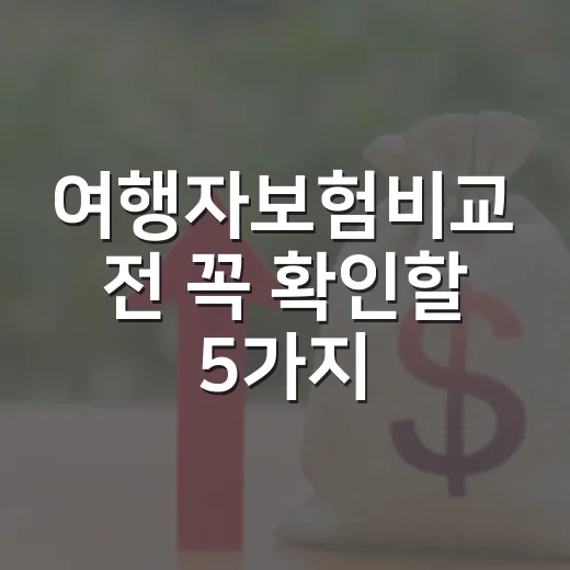 여행자보험비교 전 꼭 확인할 5가지 숫자 기준 - 요약