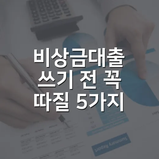 비상금대출 쓰기 전 꼭 따질 5가지 숫자 - 요약