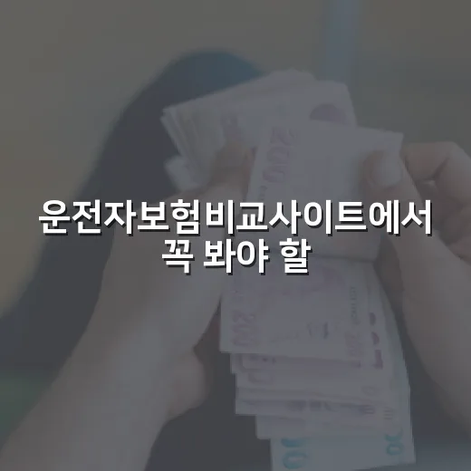 운전자보험비교사이트에서 꼭 봐야 할 5가지 숫자 - 요약