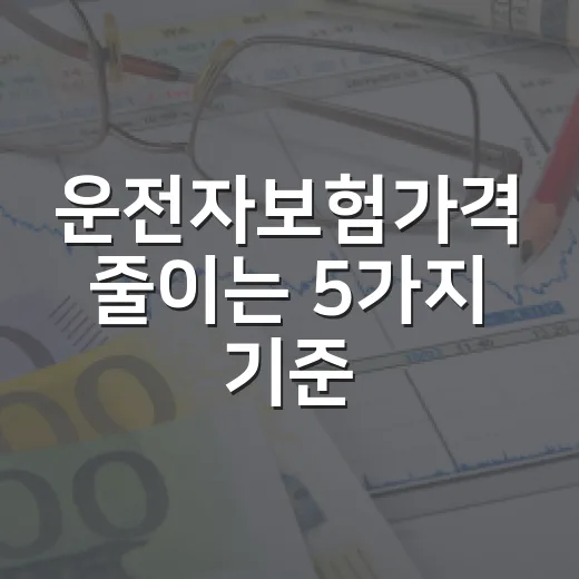 운전자보험가격 줄이는 5가지 기준, 월 5천원과 2만원의 차이 - 요약