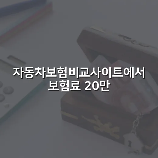 자동차보험비교사이트에서 보험료 20만원 아끼는 5가지 기준 - 요약