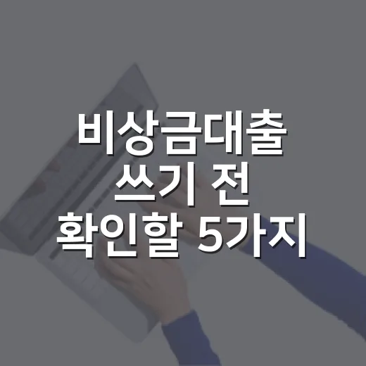 비상금대출 쓰기 전 확인할 5가지 숫자 - 요약