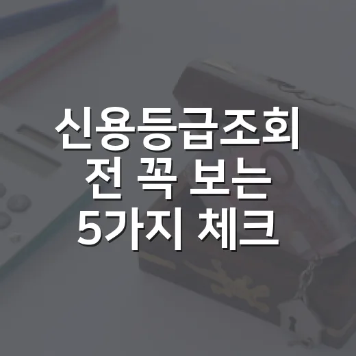 신용등급조회 전 꼭 보는 5가지 체크포인트 - 요약