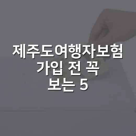 제주도여행자보험 가입 전 꼭 보는 5가지 숫자 - 요약