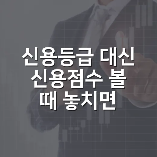 신용등급 대신 신용점수 볼 때 놓치면 손해 보는 5가지 - 요약
