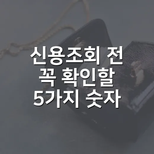 신용조회 전 꼭 확인할 5가지 숫자, 점수 안 깎이는 대출 준비법 - 요약