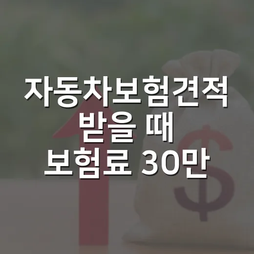 자동차보험견적 받을 때 보험료 30만 원 아끼는 5가지 비교 기준 - 요약