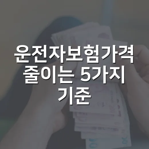 운전자보험가격 줄이는 5가지 기준, 월 1만원이면 충분할까 - 요약