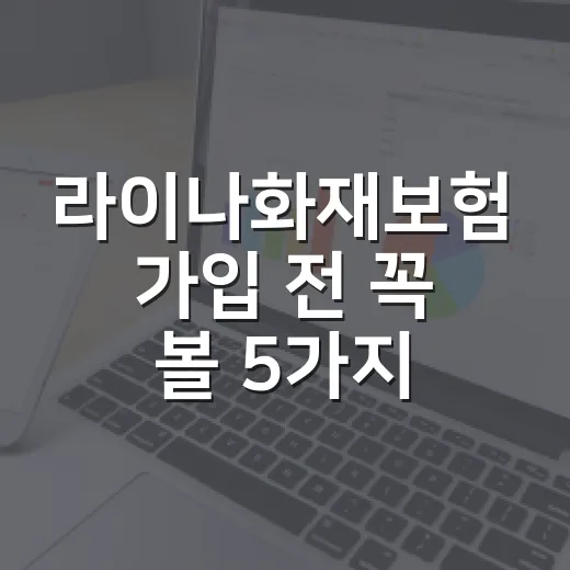 라이나화재보험 가입 전 꼭 볼 5가지 숫자 기준 - 요약