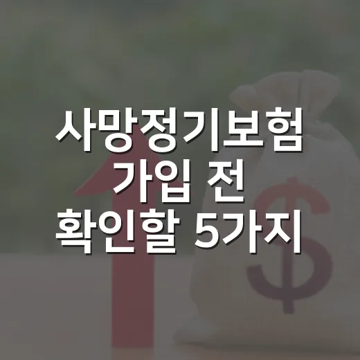 사망정기보험 가입 전 확인할 5가지 숫자 - 요약