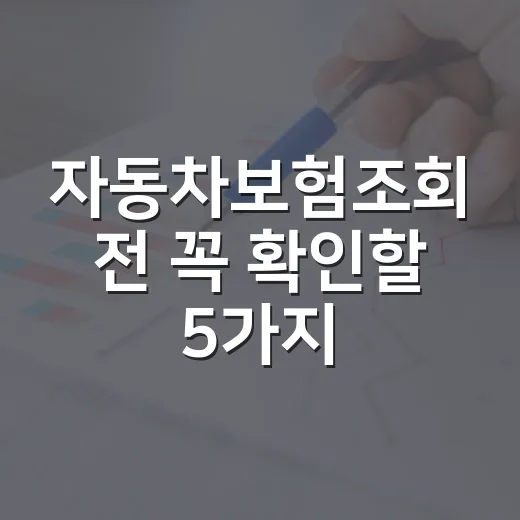 자동차보험조회 전 꼭 확인할 5가지 숫자 - 요약