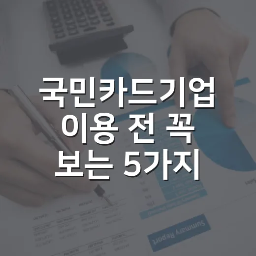 국민카드기업 이용 전 꼭 보는 5가지 체크포인트 - 요약