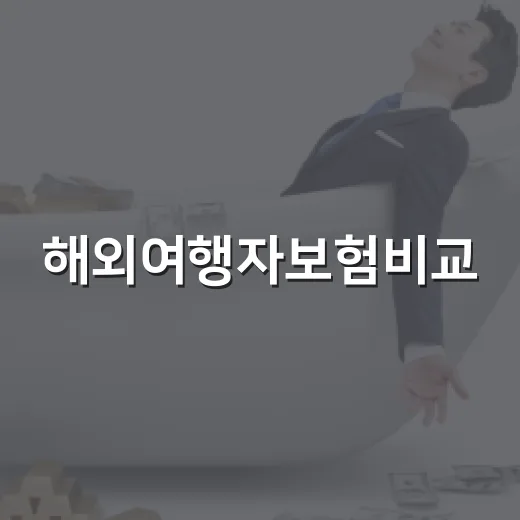 해외여행자보험비교, 보험료보다 먼저 볼 5가지 숫자 - 요약