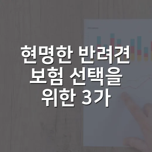 현명한 반려견 보험 선택을 위한 3가지 방법 - 요약