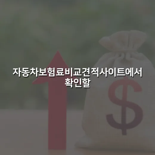 자동차보험료비교견적사이트에서 확인할 5가지 - 요약