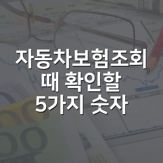 자동차보험조회 때 확인할 5가지 숫자 - 요약