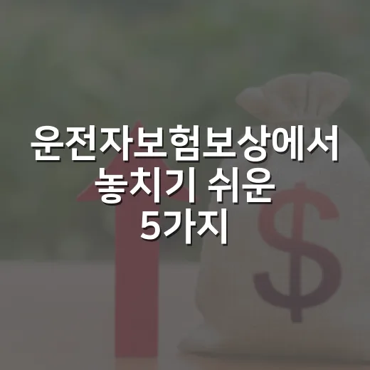 운전자보험보상에서 놓치기 쉬운 5가지 조건 - 요약