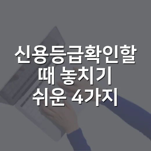 신용등급확인할 때 놓치기 쉬운 4가지 - 요약
