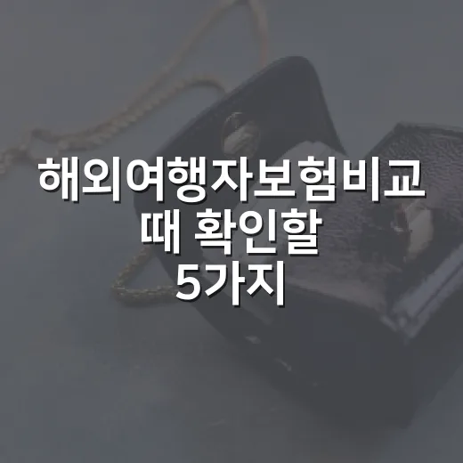 해외여행자보험비교 때 확인할 5가지 숫자 - 요약