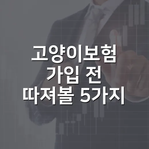 고양이보험 가입 전 따져볼 5가지 숫자 - 요약
