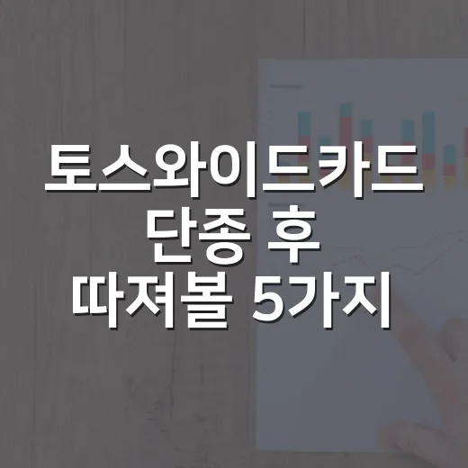 토스와이드카드 단종 후 따져볼 5가지 숫자 - 요약