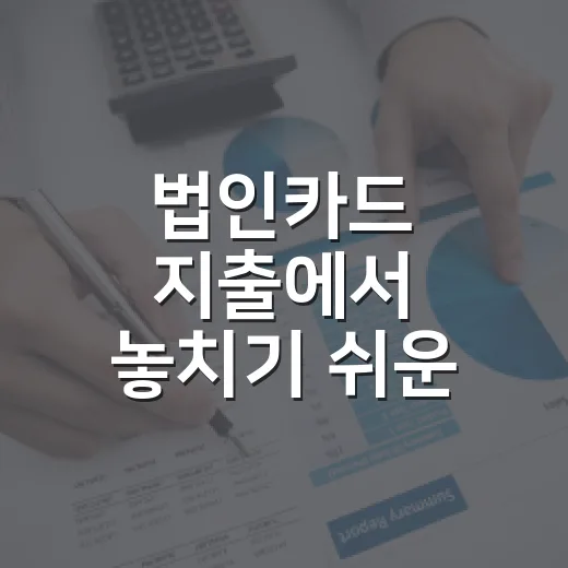 법인카드 지출에서 놓치기 쉬운 5가지 기준 - 요약