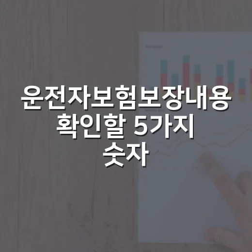 운전자보험보장내용 확인할 5가지 숫자 - 요약