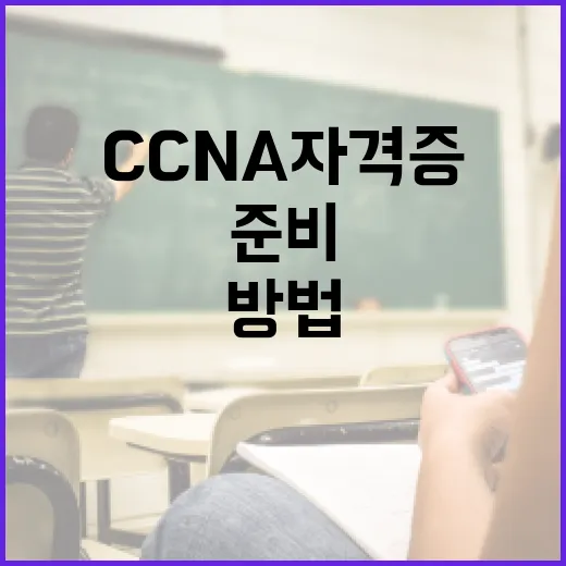 초보자가 CCNA자격증 준비하는 방법, 3개월 공부 루틴으로 시작하기 - 요약