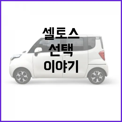 셀토스를 선택하는 방법: 내가 직접 경험한 이야기 - 요약