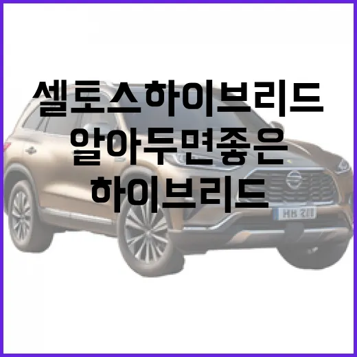 셀토스 하이브리드, 알아두면 좋은 팁 - 요약
