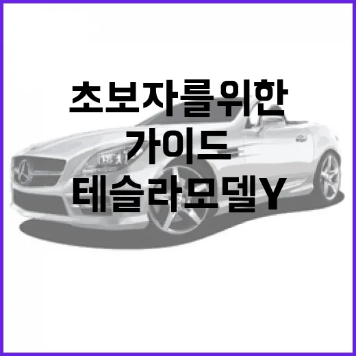 테슬라 모델 Y: 초보자를 위한 완벽 가이드 - 요약
