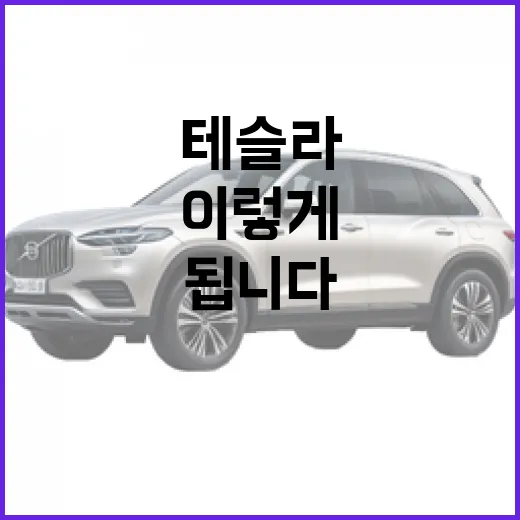 테슬라 처음 사려면 이렇게 고르면 됩니다 - 요약