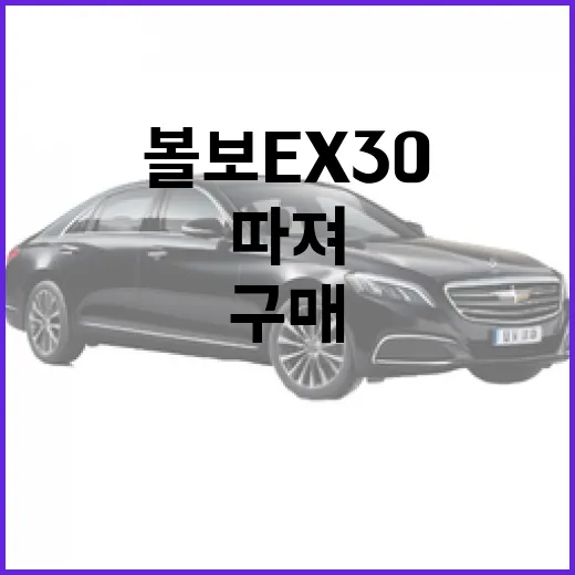 볼보 EX30 구매하려면 이렇게 따져보는 방법 - 요약