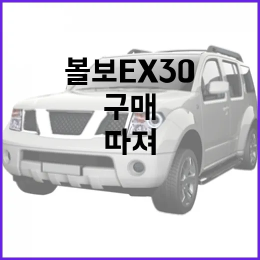 볼보 EX30 구매하려면 이렇게 따져보면 됩니다 - 요약