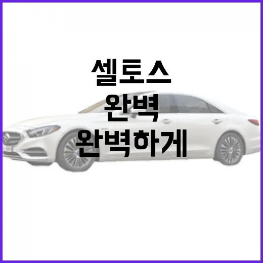 셀토스를 완벽하게 활용하는 방법 - 요약